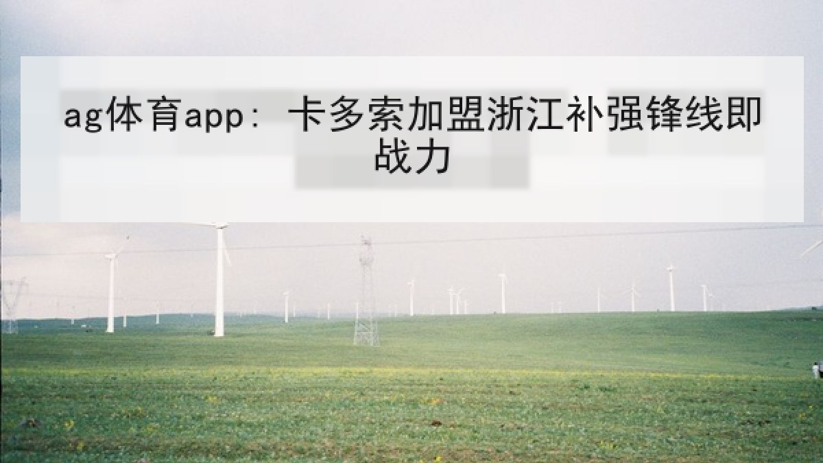 ag体育app: 卡多索加盟浙江补强锋线即战力