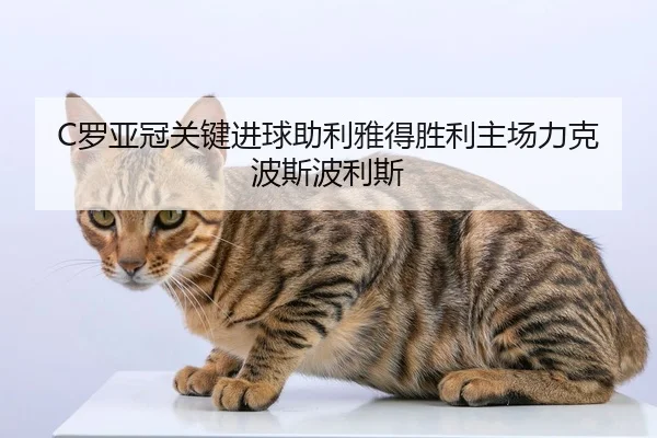 luo-ya-guan-guan-jian-jin-qiu-zhu-li-ya-de-sheng-li-zhu-chang-li-ke-bo-si-bo-li-si-3-229.jpg