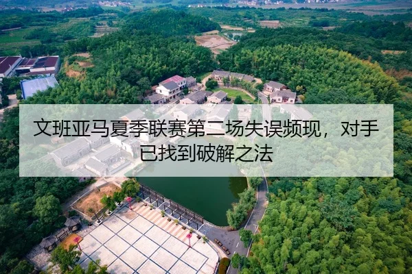 文班亚马夏季联赛第二场失误频现，对手已找到破解之法