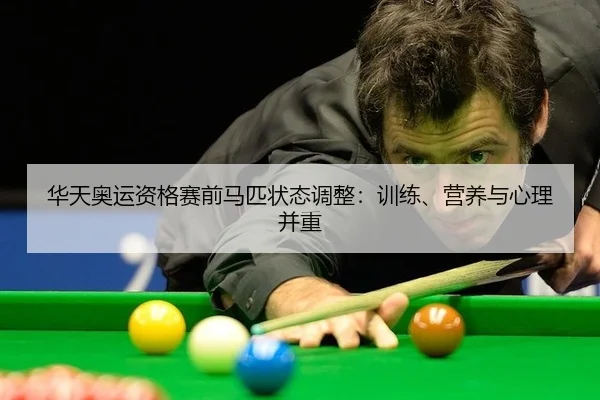 华天奥运资格赛前马匹状态调整：训练、营养与心理并重