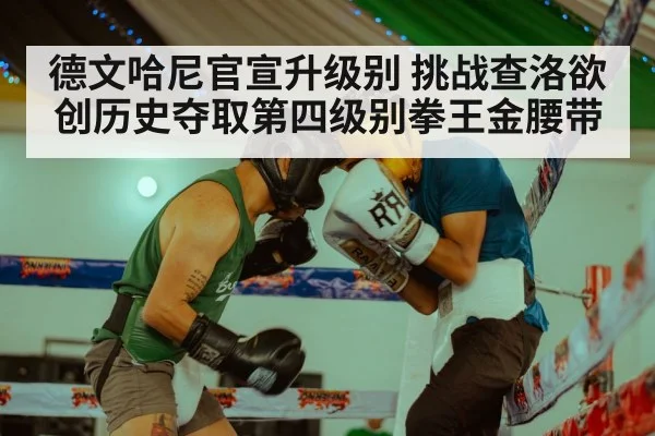 德文哈尼官宣升级别 挑战查洛欲创历史夺取第四级别拳王金腰带